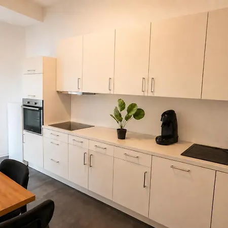 Geraeumiges 4-zimmer-apartment - 8 Boxspringbetten, Zentral, Kueche, Wifi, Self Check-in Apartment *